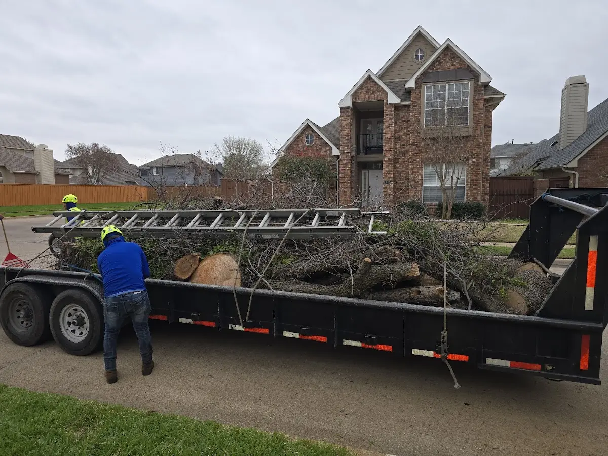 Expert Tree Fertilization with proper safety equipment in Fountainville